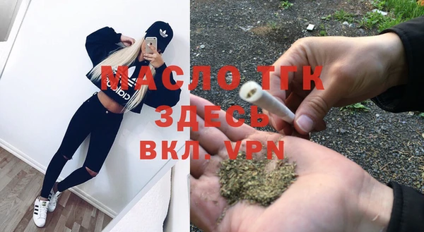 сатива Армянск