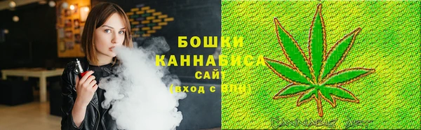 сатива Армянск