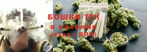 сатива Армянск