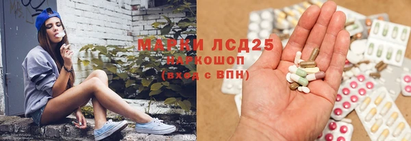 сатива Армянск